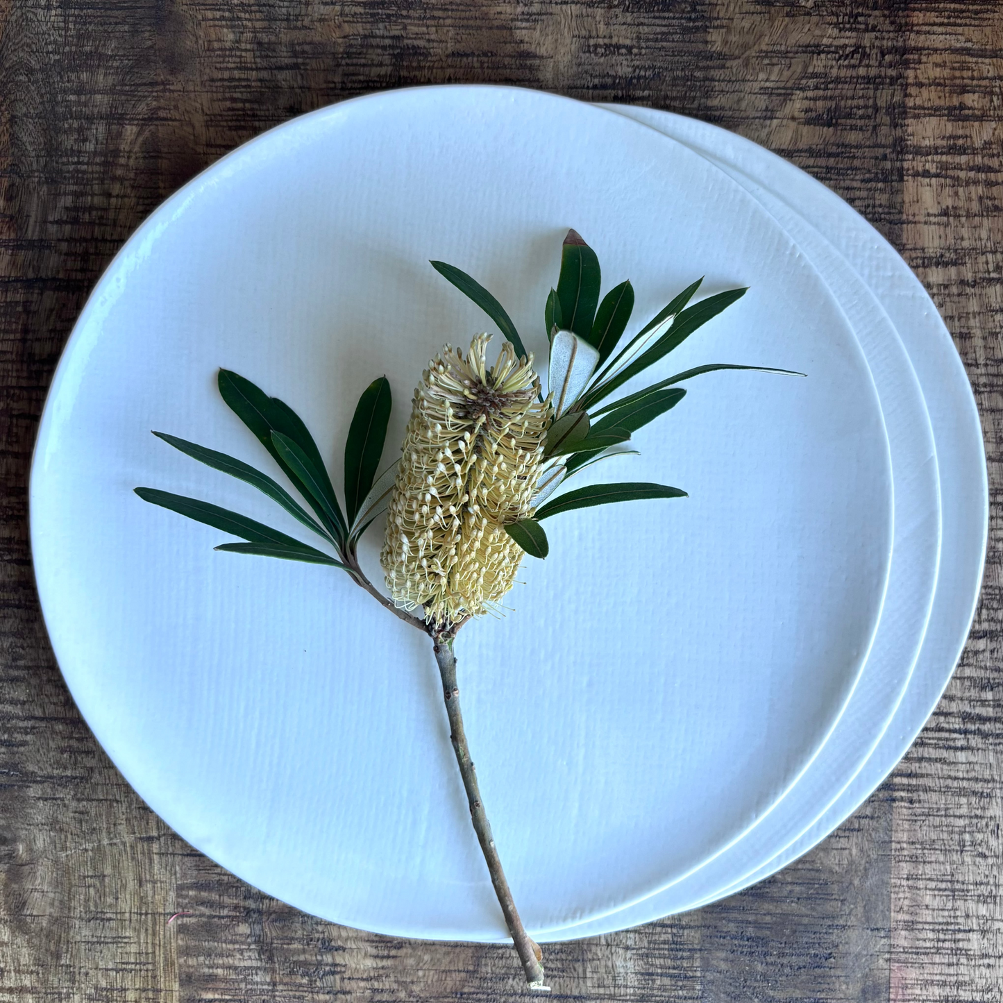 Porcelain Hessian Plates