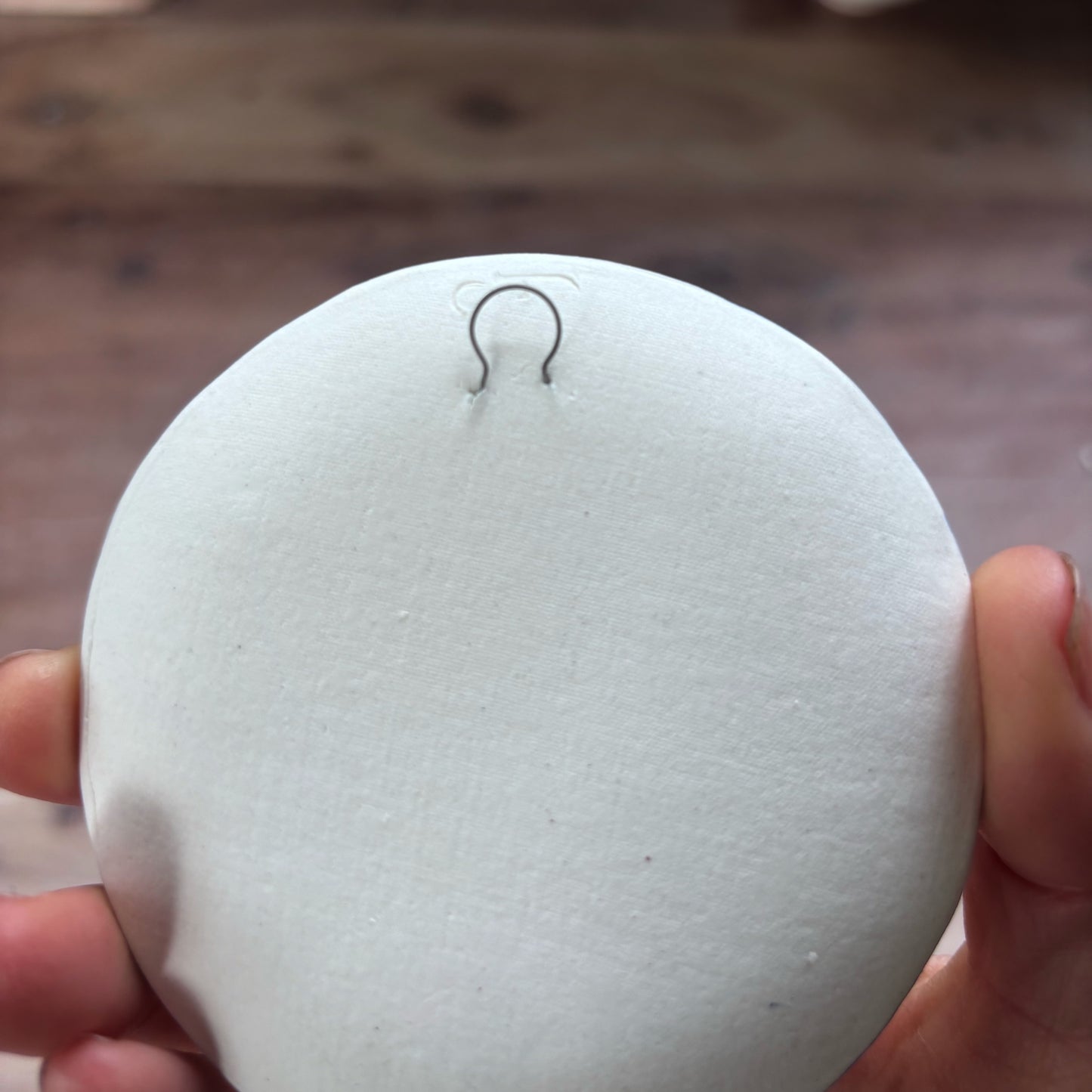 Porcelain Mini Wall Vase - Branch