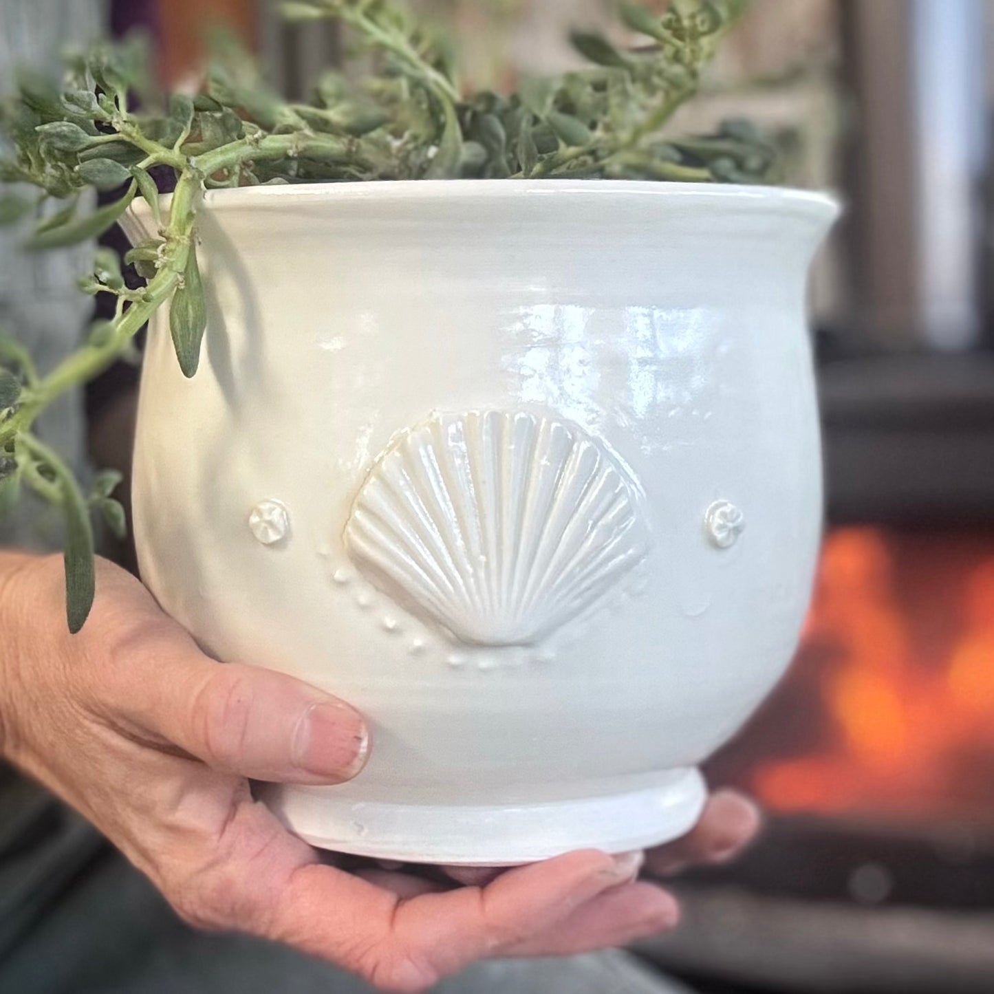 Shell Deco Porcelain Planter